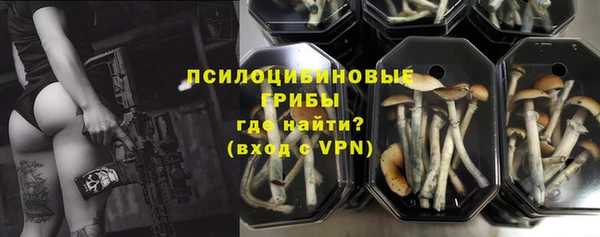 тгк Кукмор