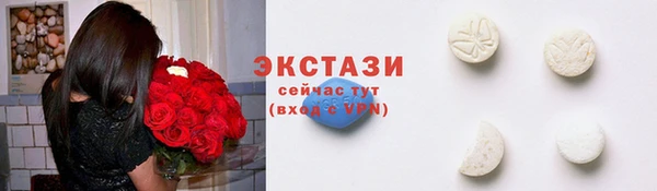гашик Корсаков