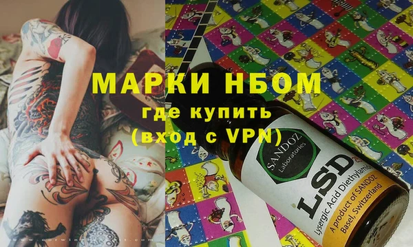 гашик Корсаков