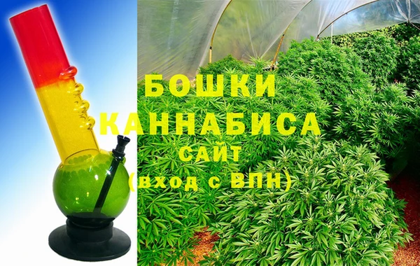 стаф Коряжма