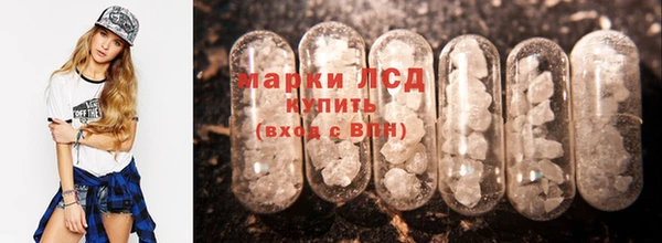 стаф Коряжма