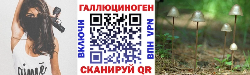 Галлюциногенные грибы мицелий  Болотное 